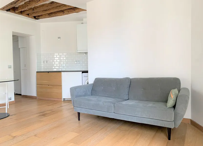 Flat Rue Montgallet in Paris