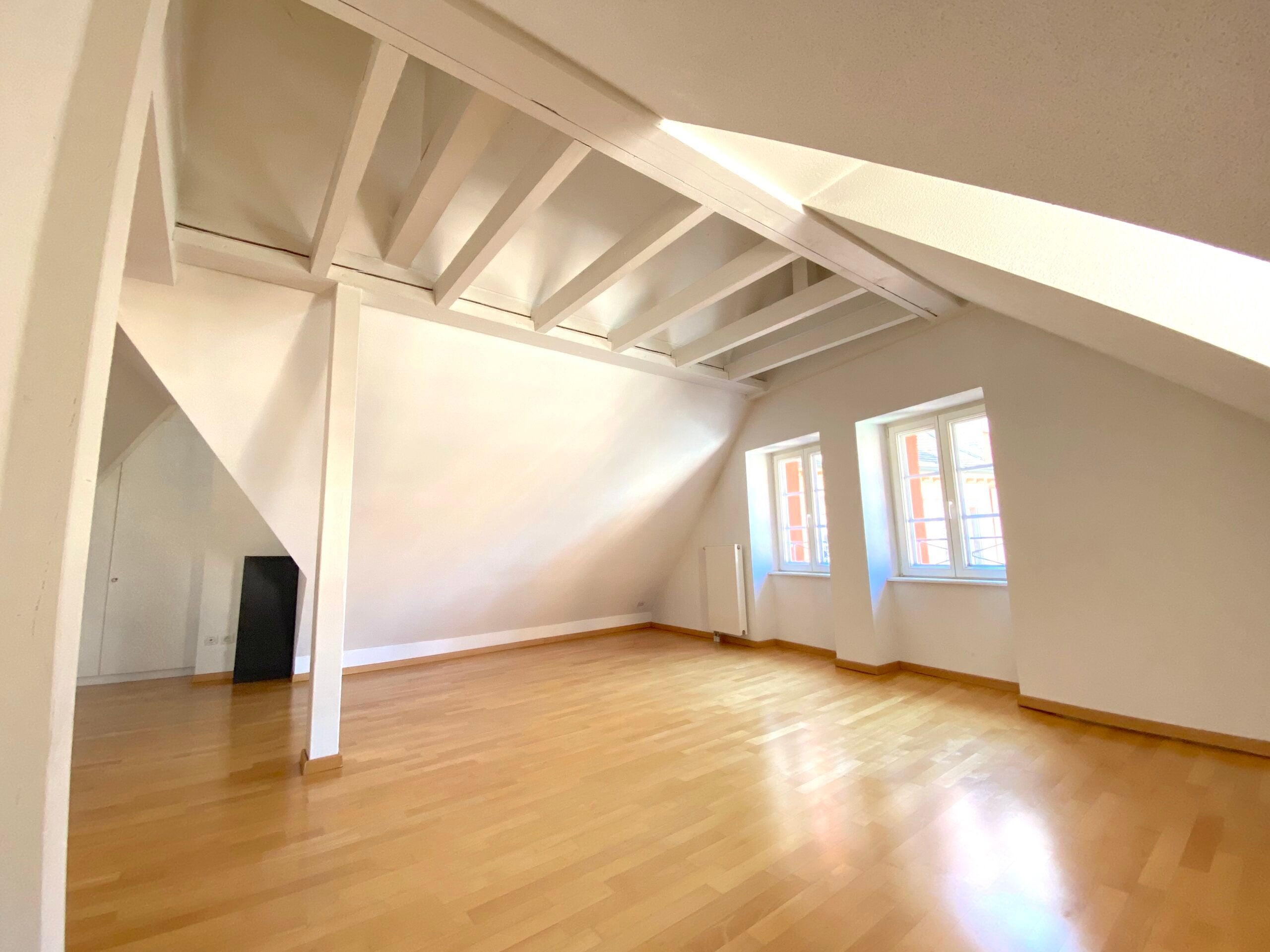 Flat Rue de la Râpe in Strasbourg
