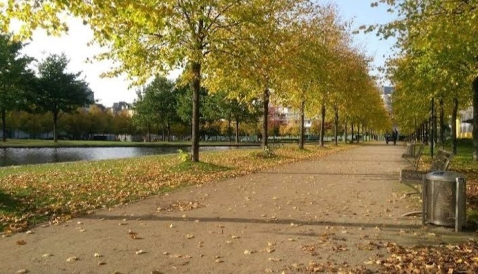 Wohnung Kölner Straße in Düsseldorf