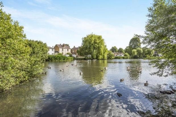 House Brisson Close in Walton on Thames