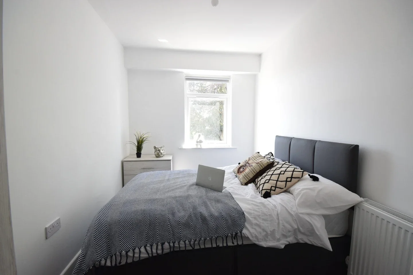Room Gloucester Road in Bristol