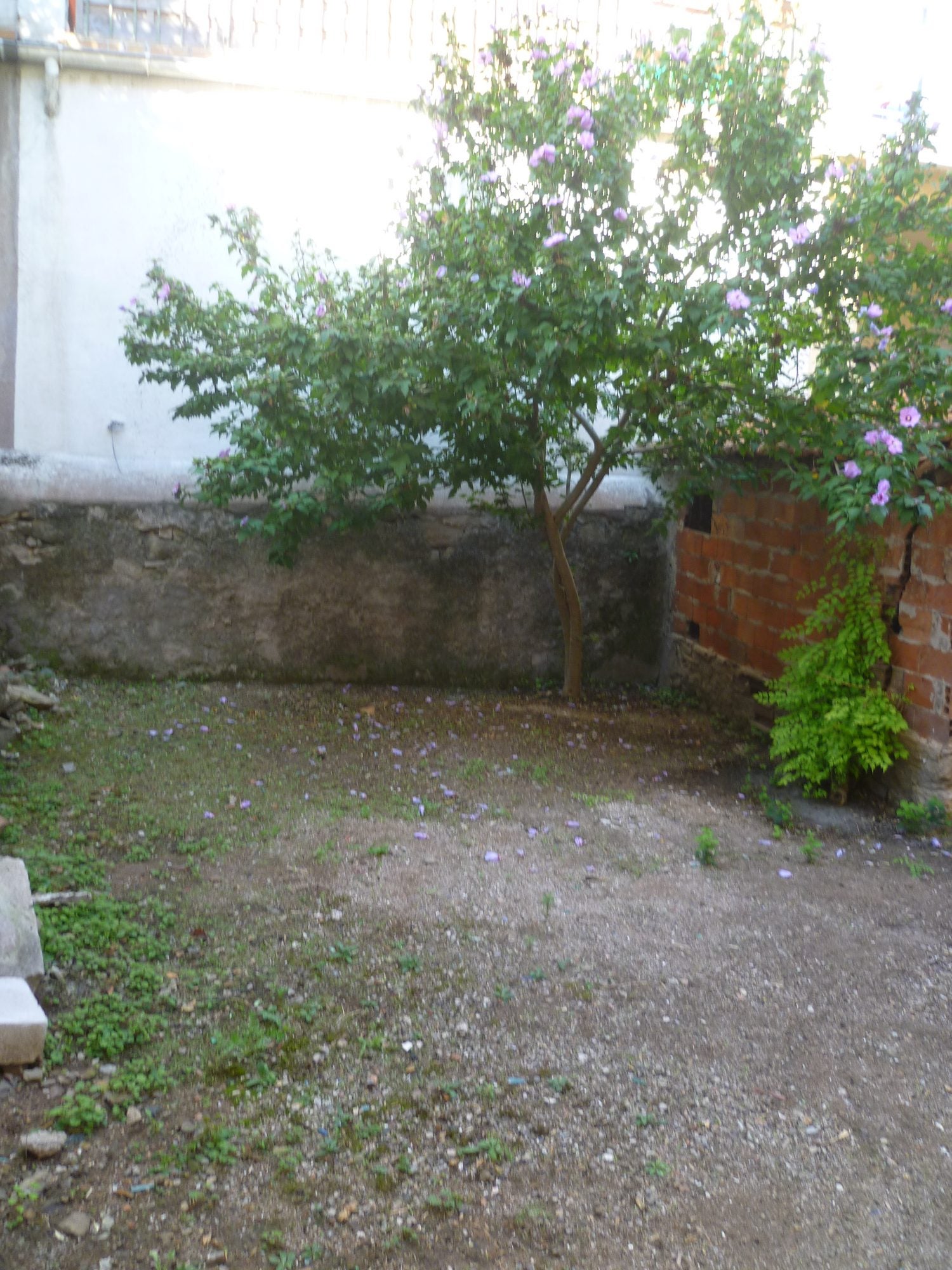 Flat Impasse de la Farigoulette in Le Muy