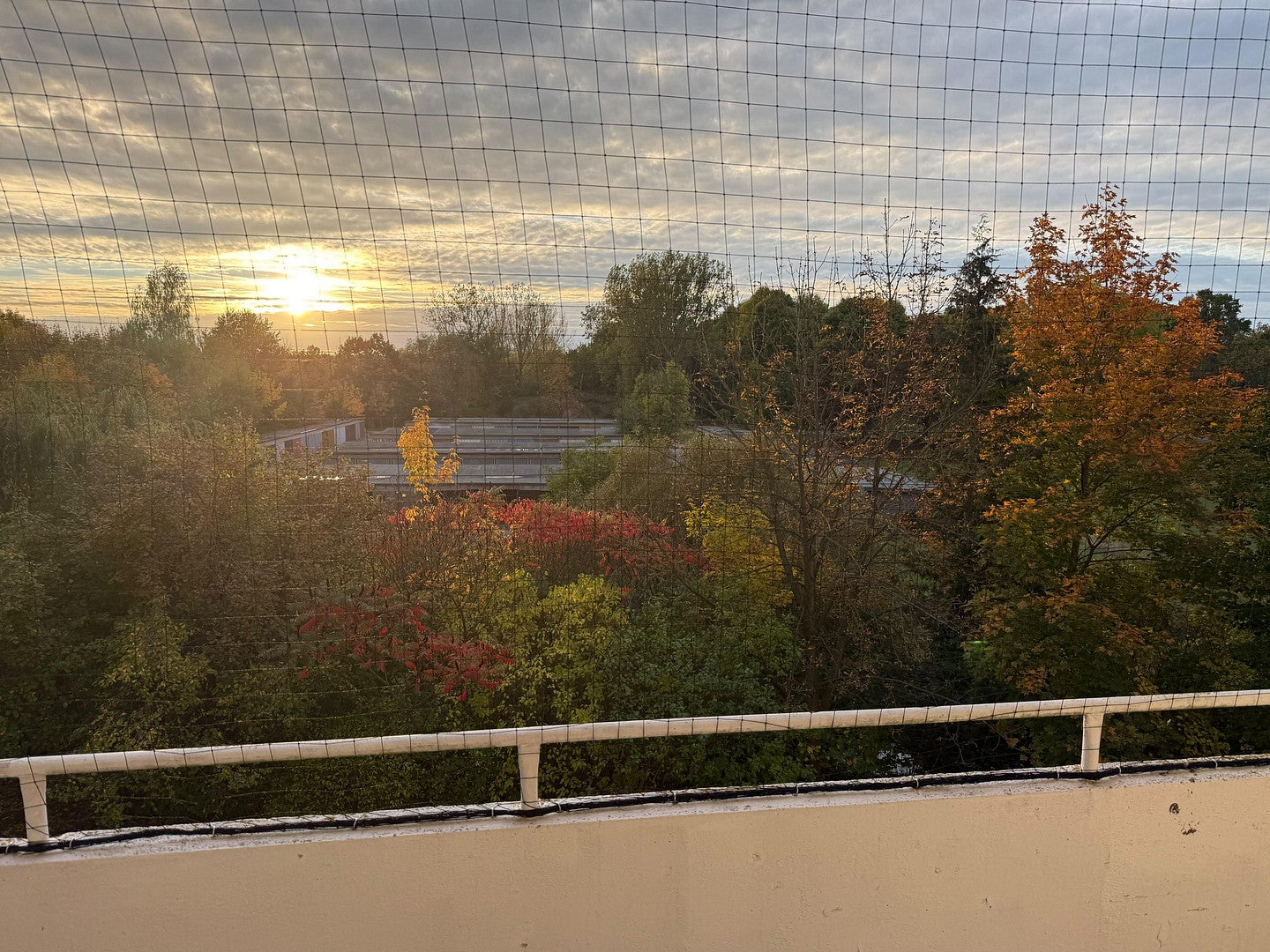 Wohnung Torgauer Straße in Doberlug-Kirchhain
