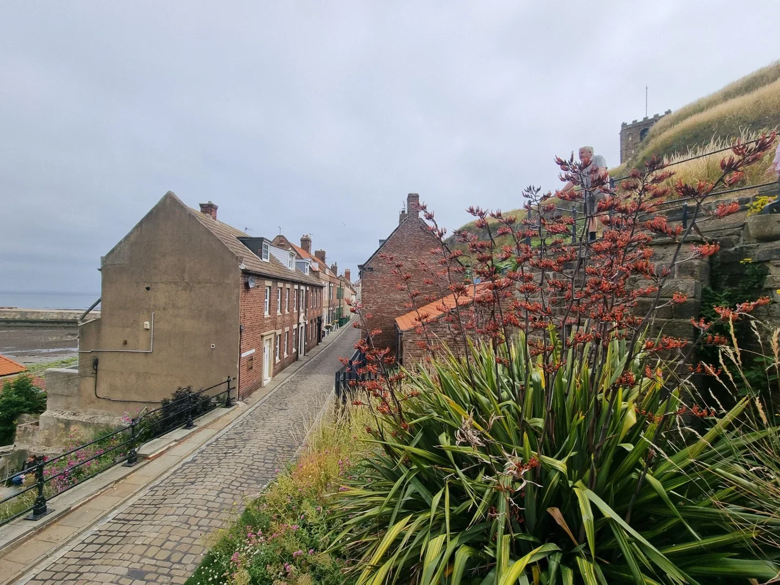 House Henrietta Street in Whitby