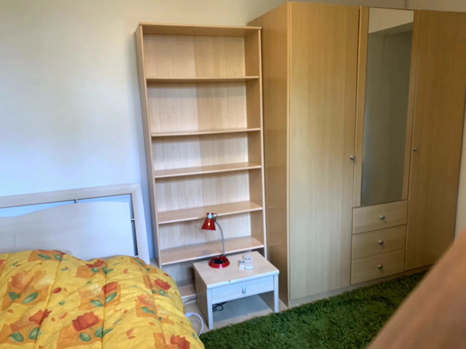 Chambre Les Allées du Parc à Ferney-Voltaire
