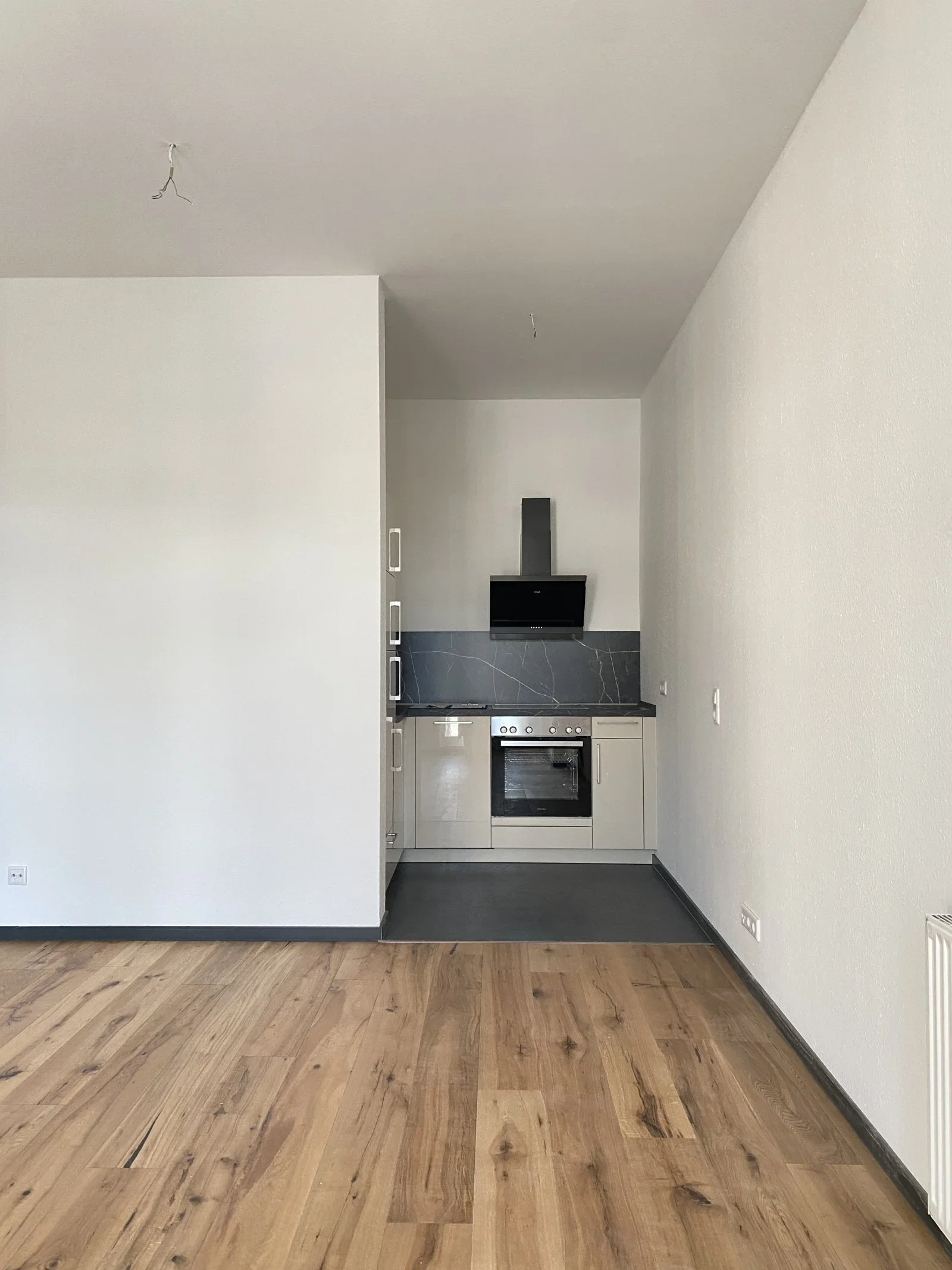 Wohnung Lassallestraße in Zwickau