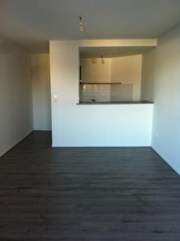 Flat Esplanade Compans Caffarelli in Toulouse