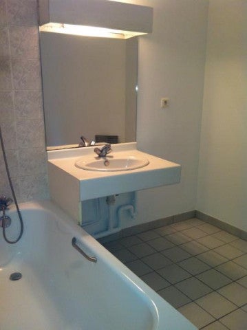 Flat Esplanade Compans Caffarelli in Toulouse
