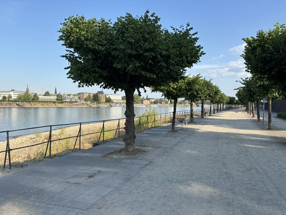 Wohnung Markt in Bonn