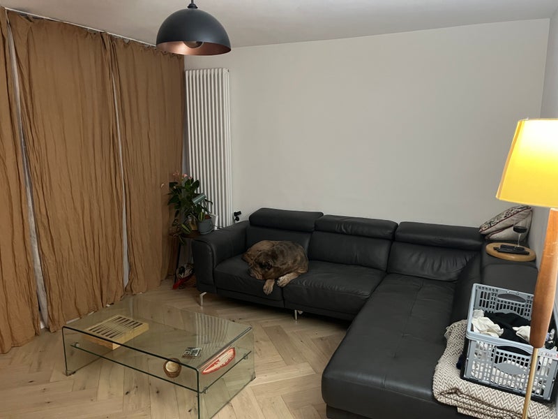 Room Loughborough Road in Greater London