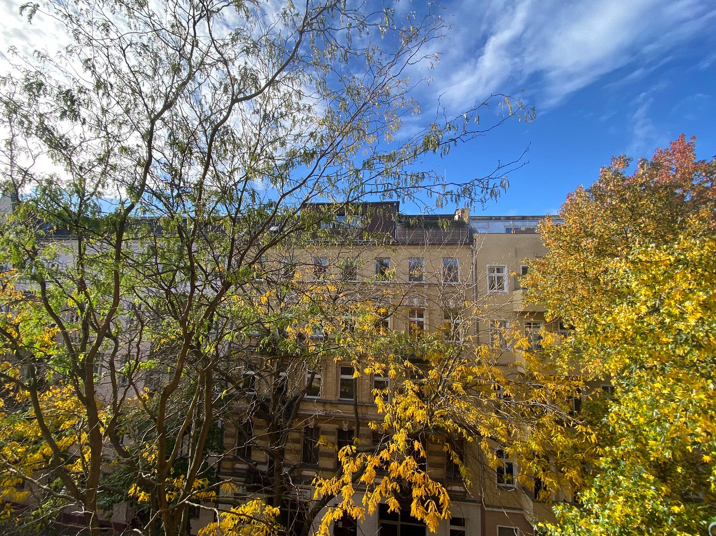 Wohnung Emdener Straße in Berlin