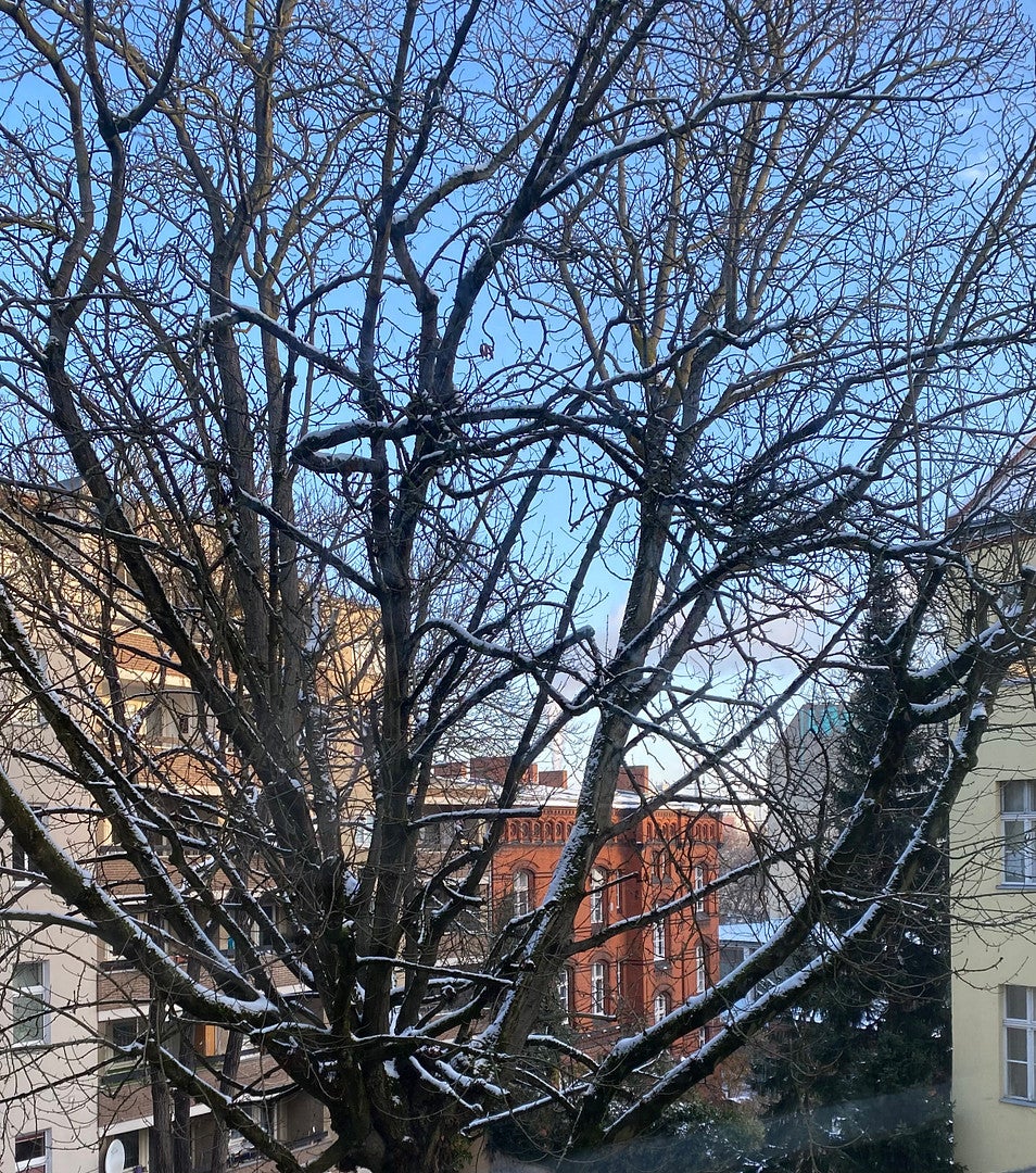 Wohnung Emdener Straße in Berlin