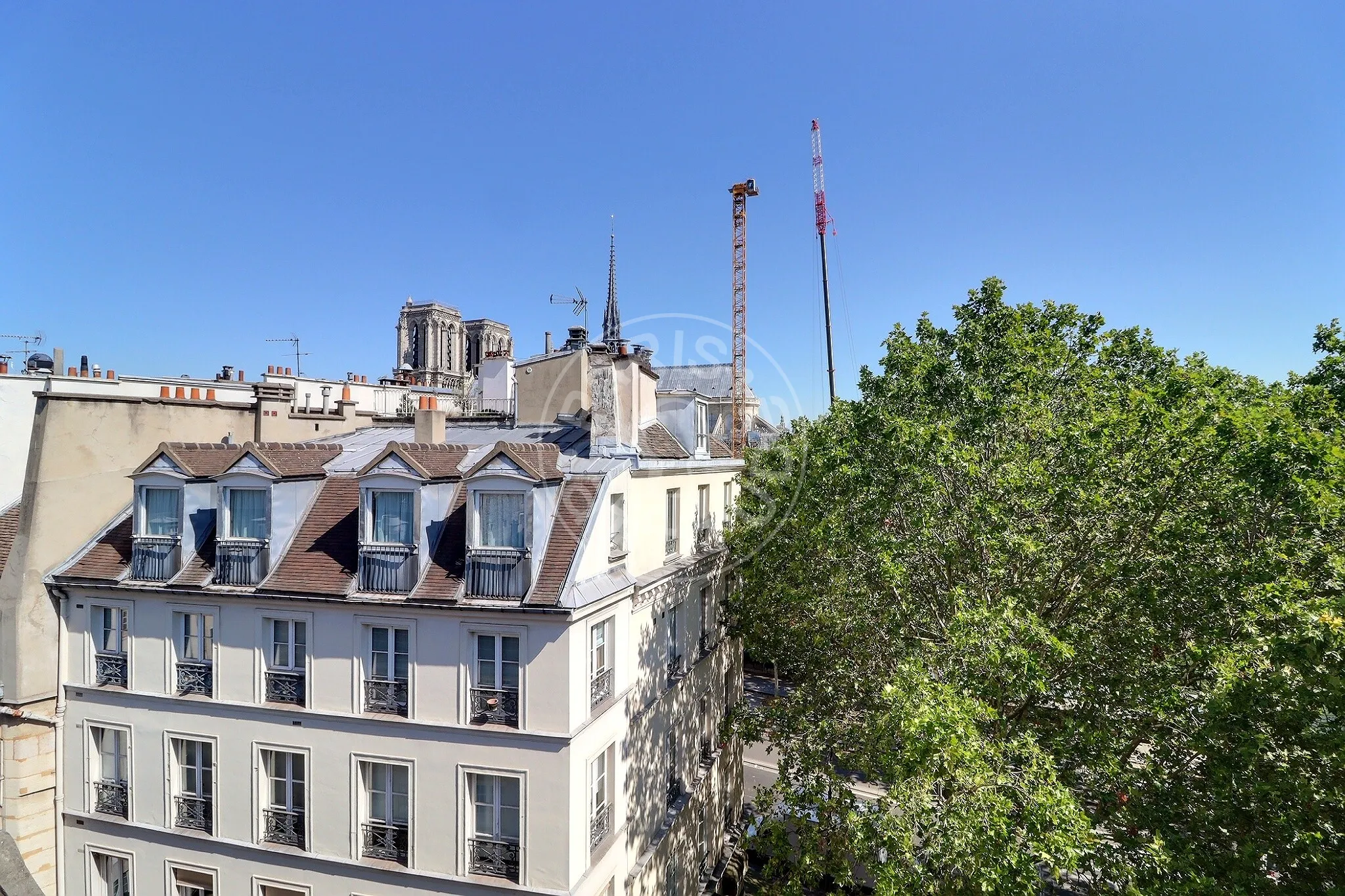 Flat Rue des Grands Degrés in Paris