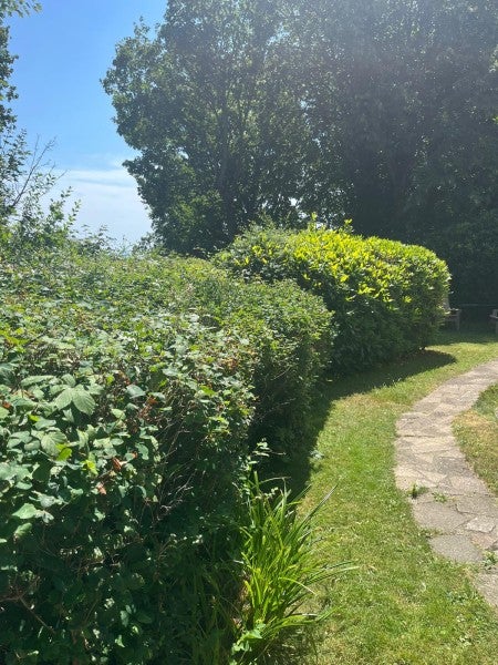 Flat Quarry Hill in St Leonards