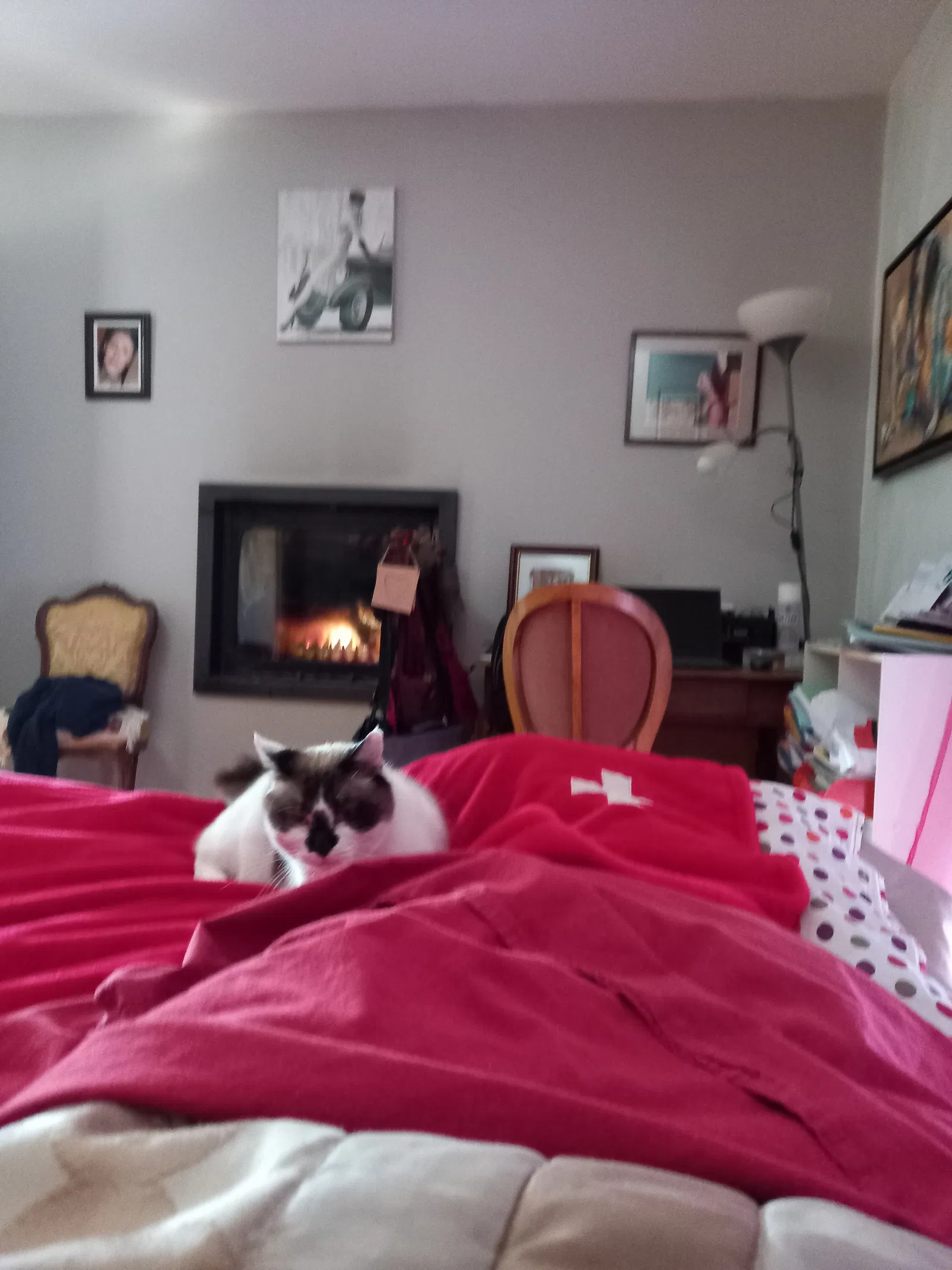 Room Impasse des Moineaux in Trelins