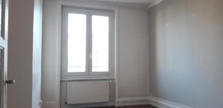 Flat Avenue Berthelot in Lyon