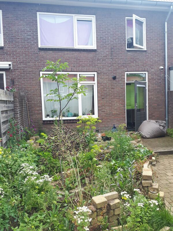 Appartement Mgr. Nolensstraat in Zutphen