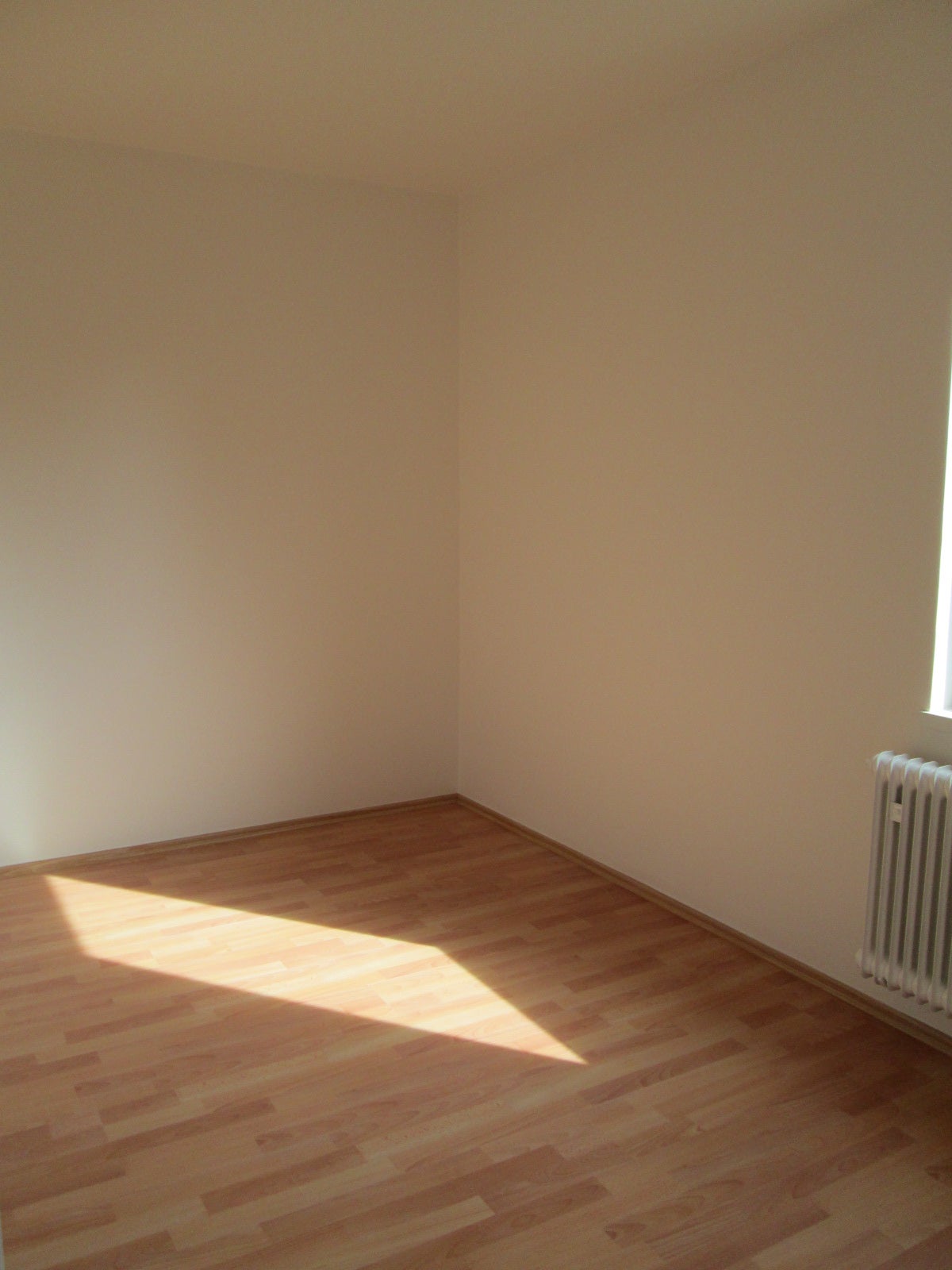 Wohnung Hans-Böckler-Ring in Salzgitter
