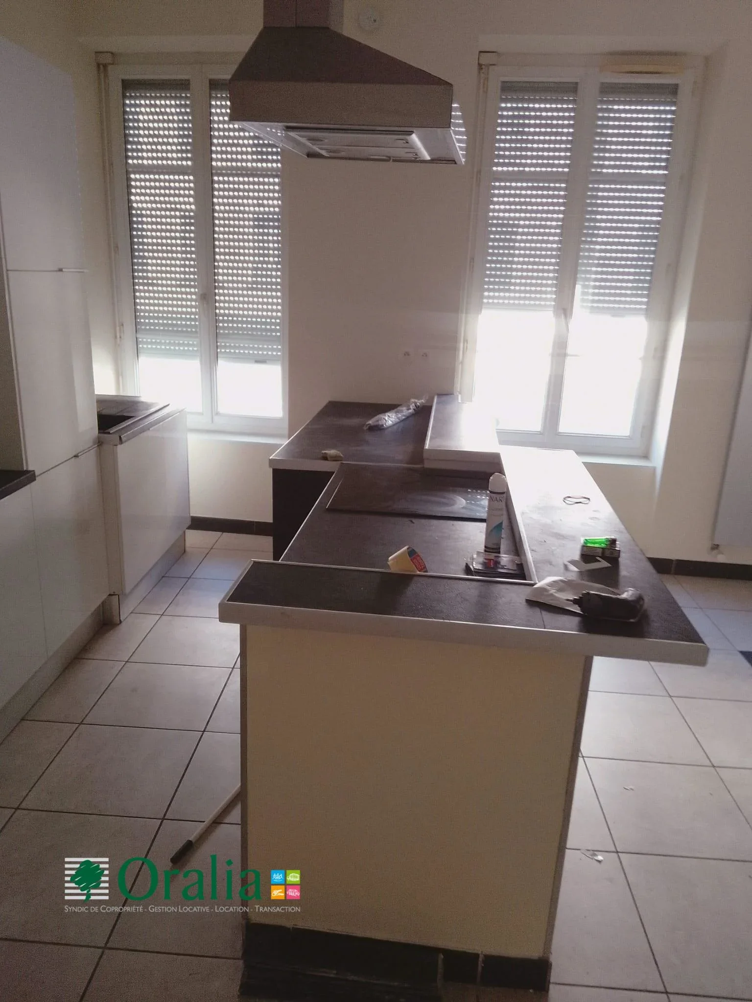Appartement Cours Tolstoï à Villeurbanne