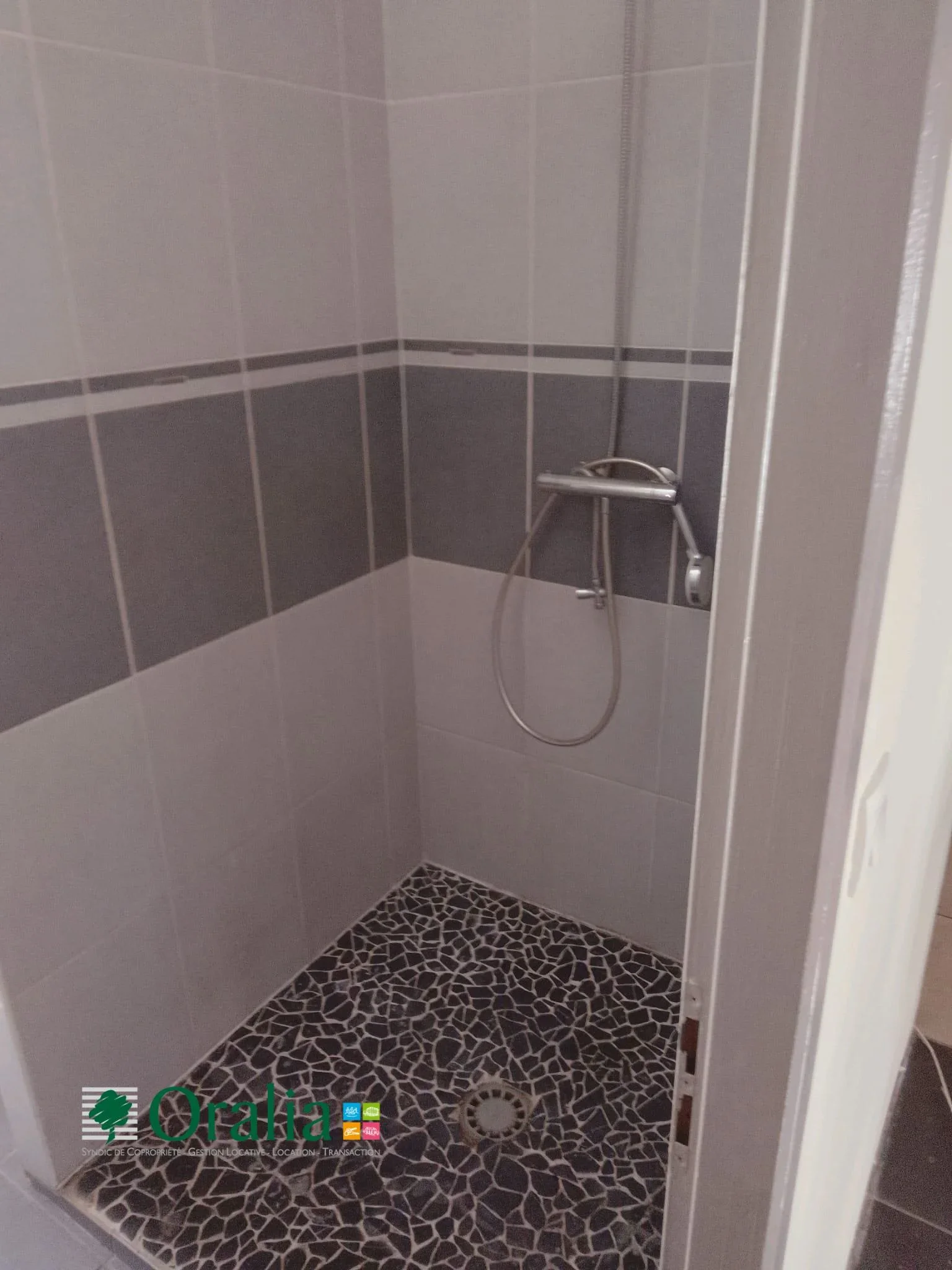 Appartement Cours Tolstoï à Villeurbanne