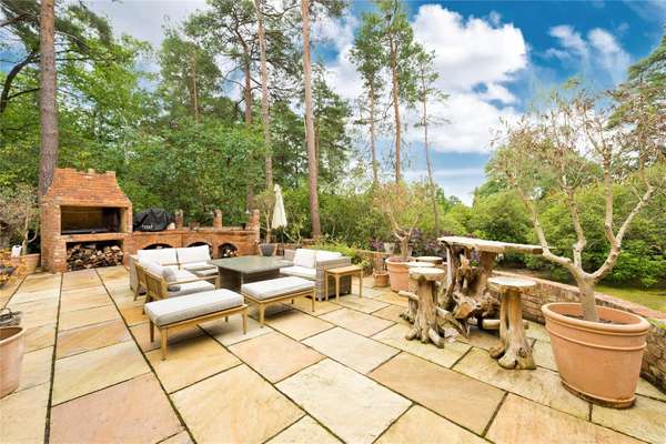 House Dukes Covert in Surrey Heath