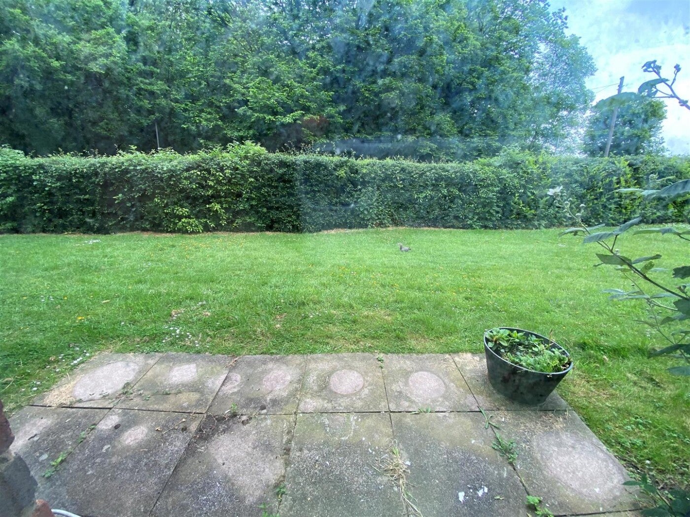 Flat Woods Avenue in Welwyn Hatfield