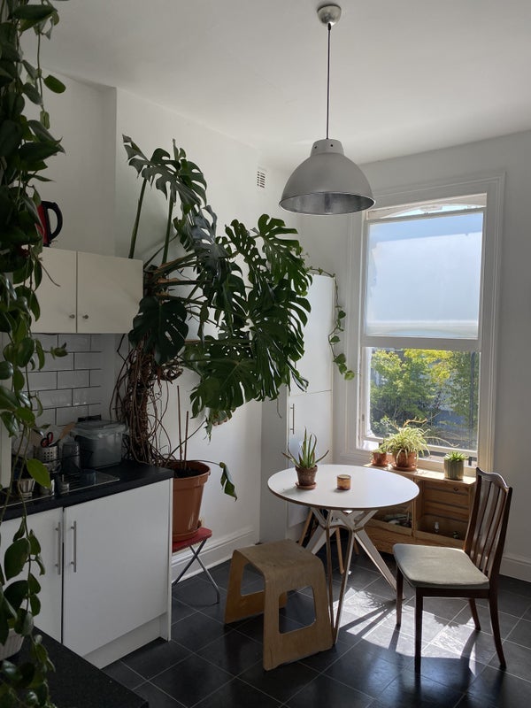 Room Evering Road in Greater London