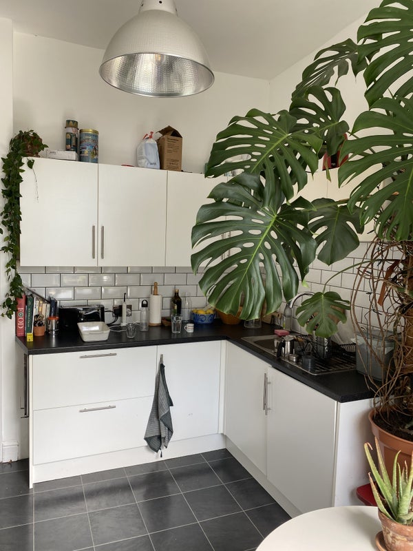 Room Evering Road in Greater London
