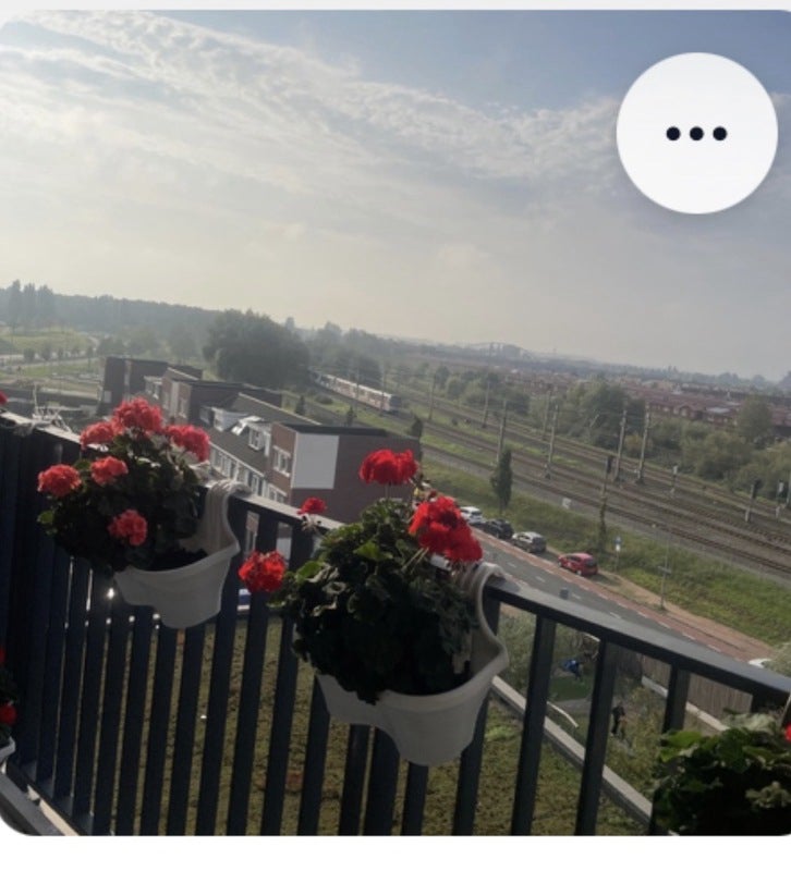 Appartement Harriët Freezerhof 8