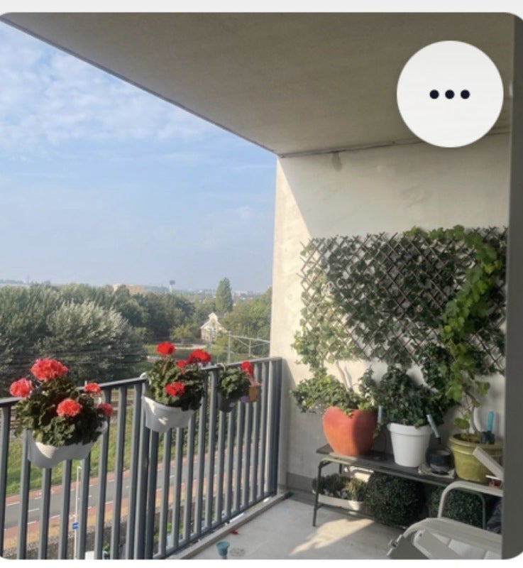 Appartement Harriët Freezerhof 7