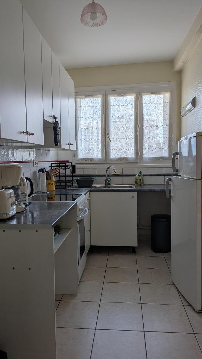 Flat Cours Émile Zola in Villeurbanne