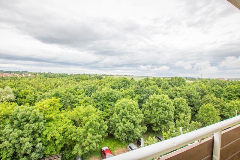Wohnung Lunzbergring in Halle (Saale)