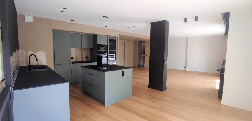 Flat Quai Clemenceau in Caluire-et-Cuire