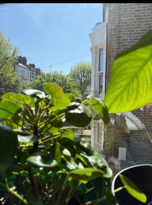 Room Ashmore Road in City of Westminster