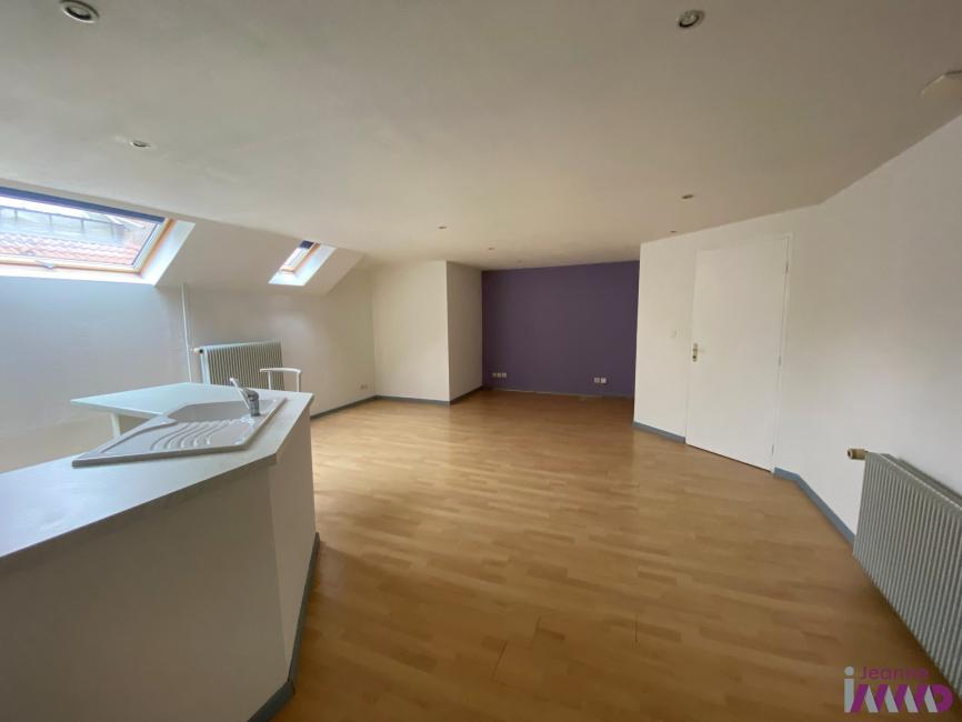 Appartement Faubourg de France à Belfort