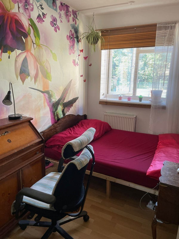 Room Frampton Park Road in Greater London