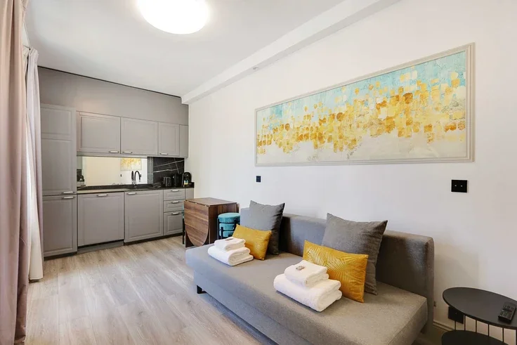 Flat Rue de Charonne in Paris