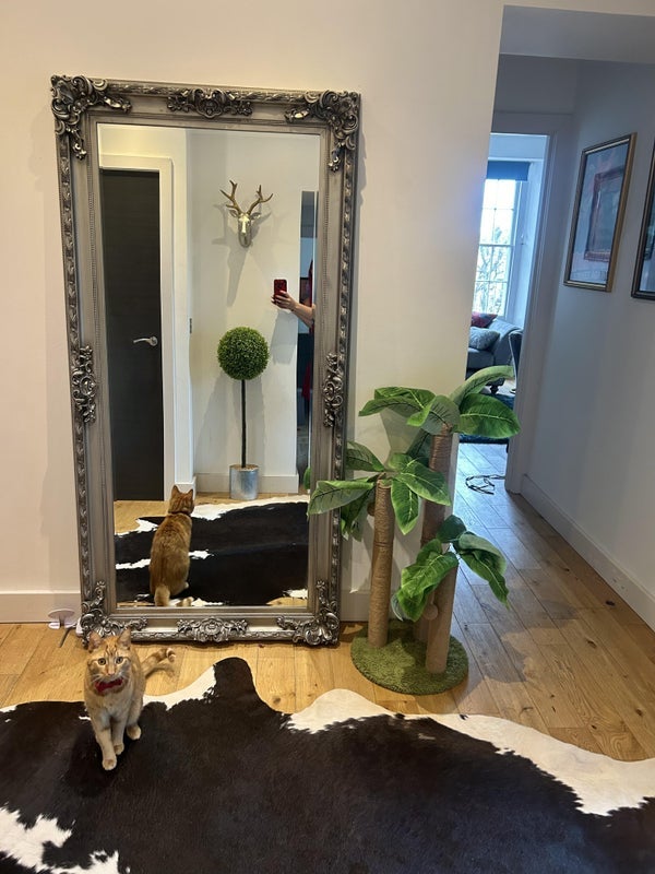 Room Whiteladies Road in Bristol