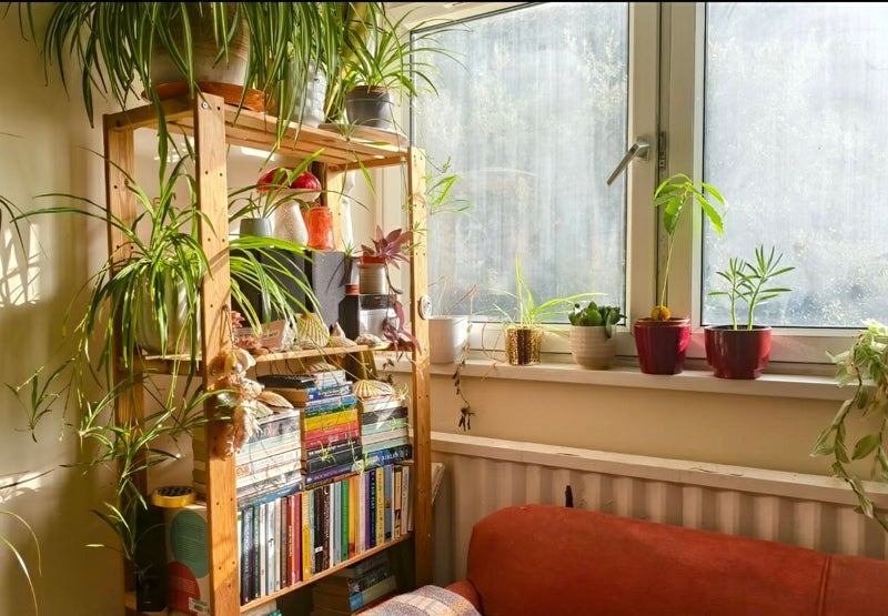 Room Ashley Down Road in Bristol