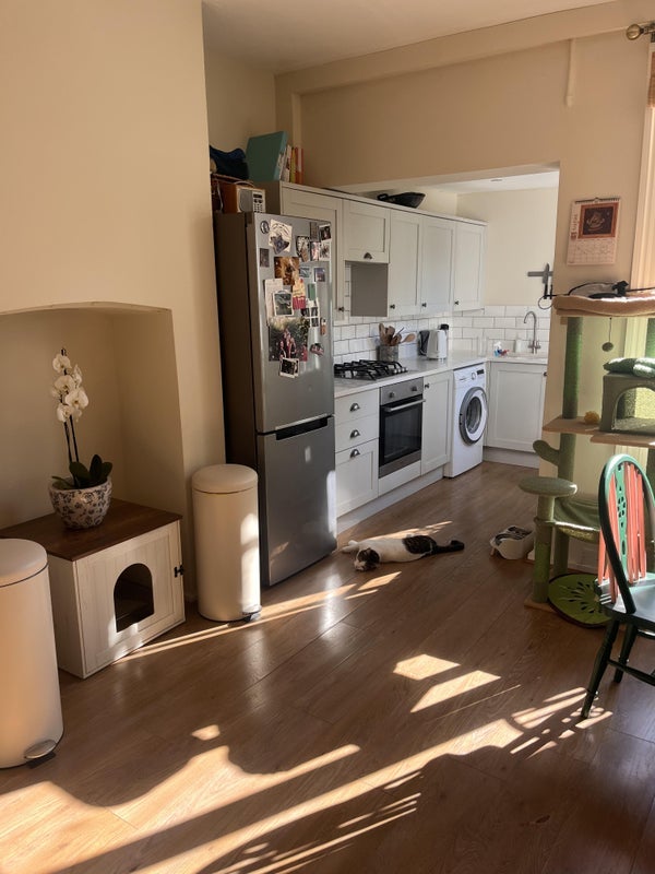 Room Mandrake Road in Greater London
