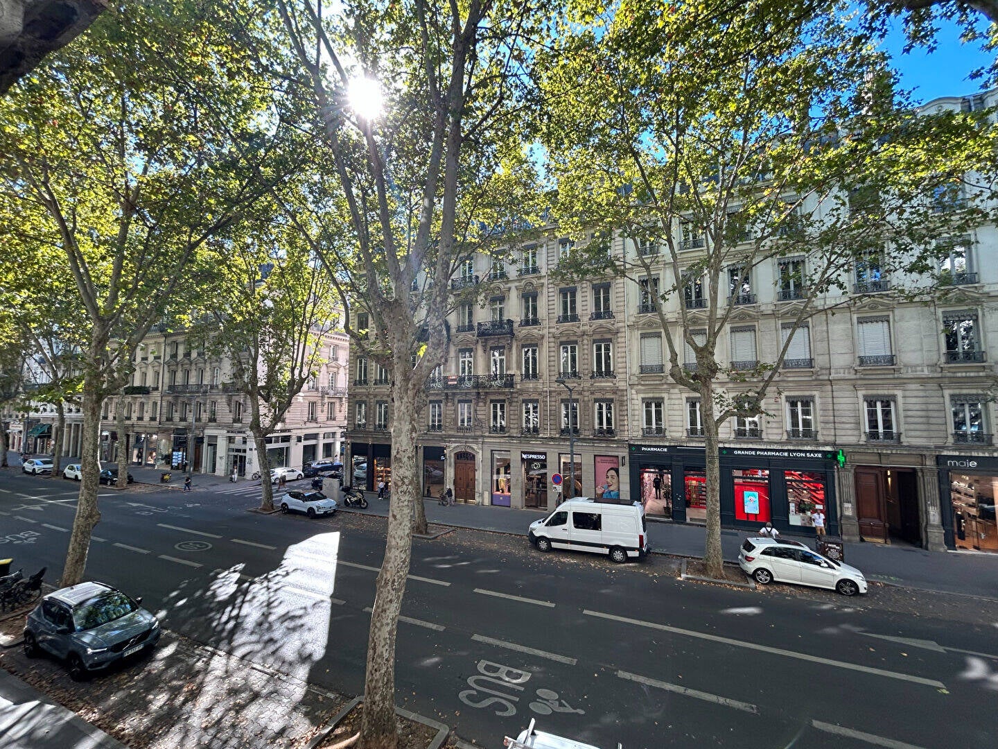 Flat Avenue Maréchal de Saxe in Lyon