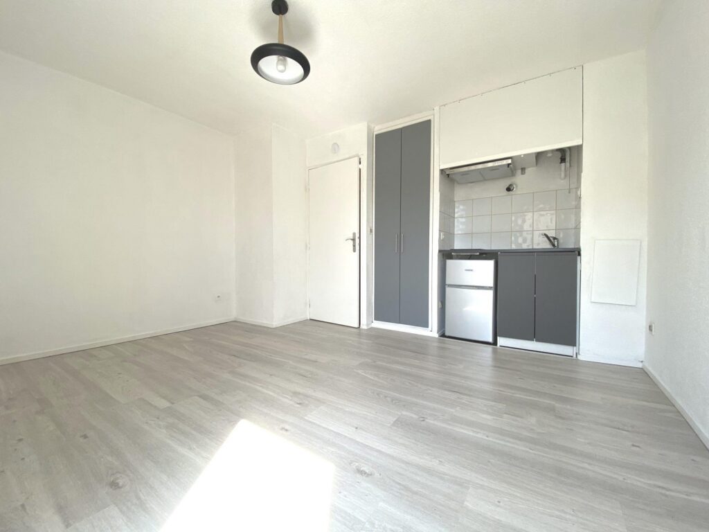 Flat Rue Pierre de Ronsard in Toulouse