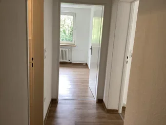 Wohnung Wilhelmshöher Allee in Kassel