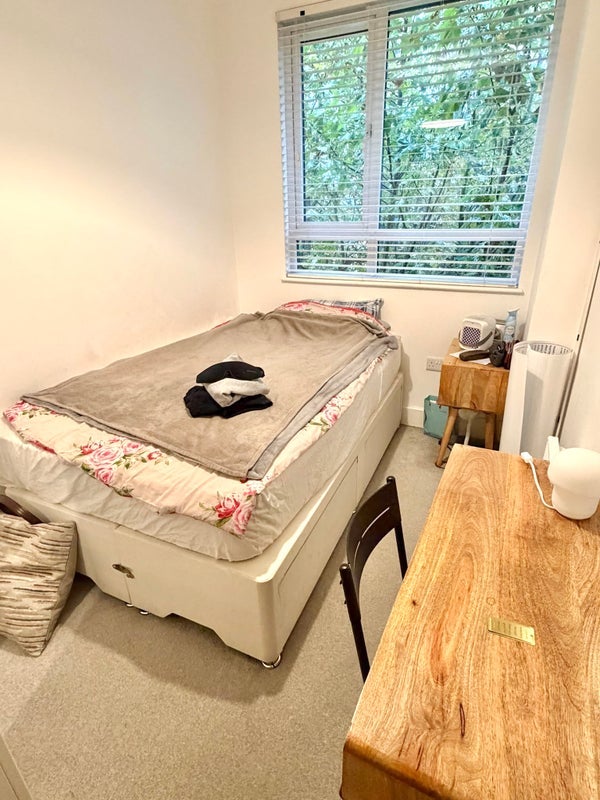 Room Wilder Street in Bristol