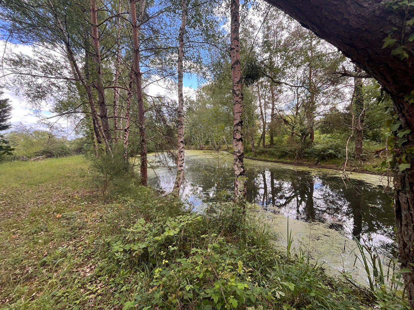 Maison Route de Romorantin à Gy-en-Sologne