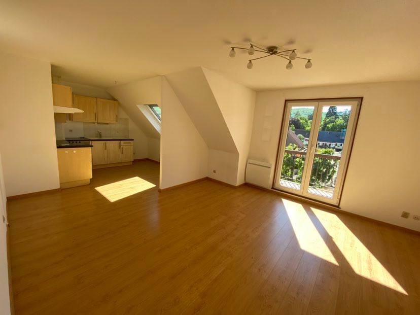 Appartement Rue des Primevères à Ammerschwihr