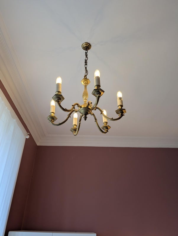 Room Cluny Gardens in City of Edinburgh