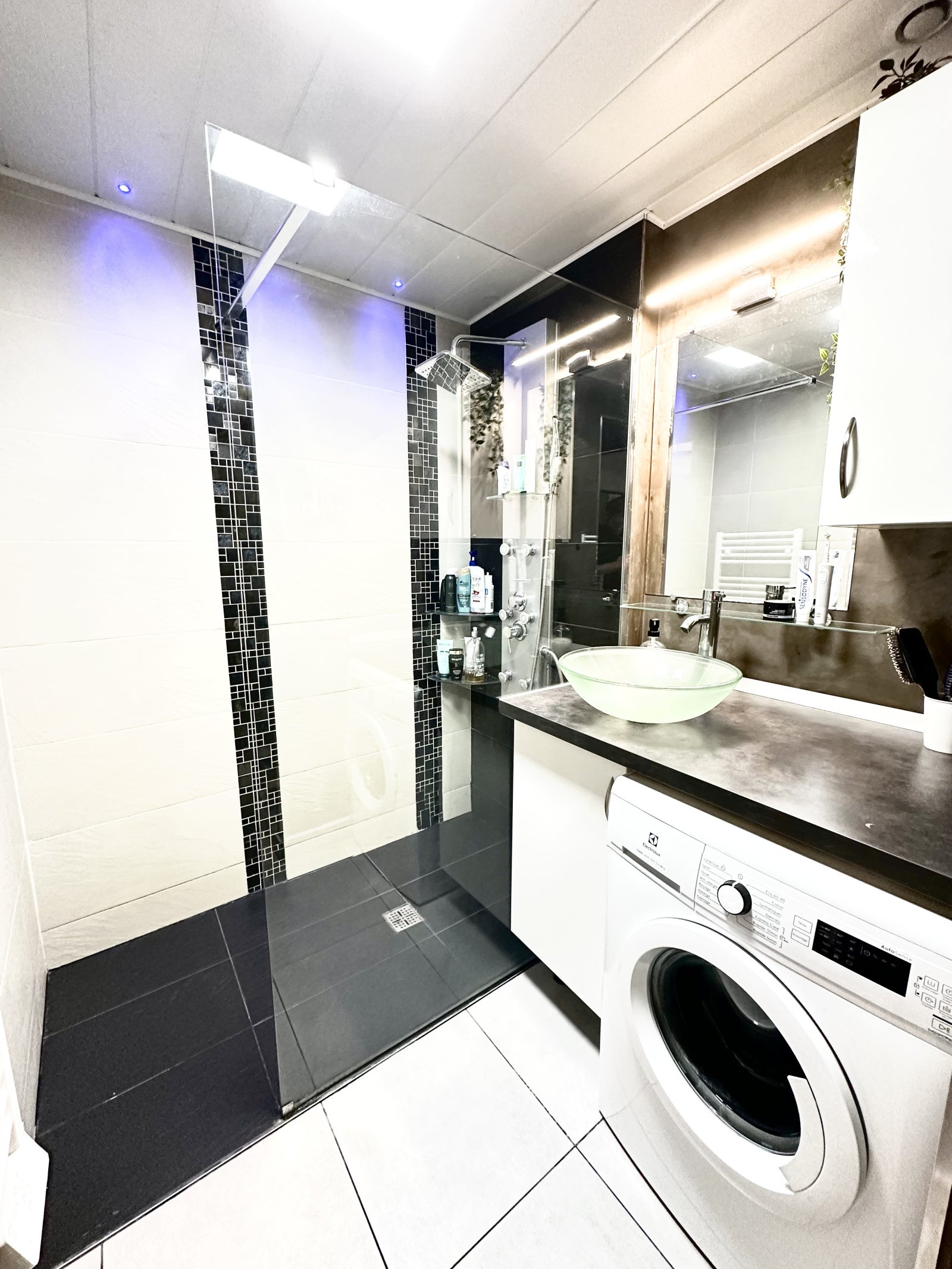 Flat Rue Condorcet in Grenoble