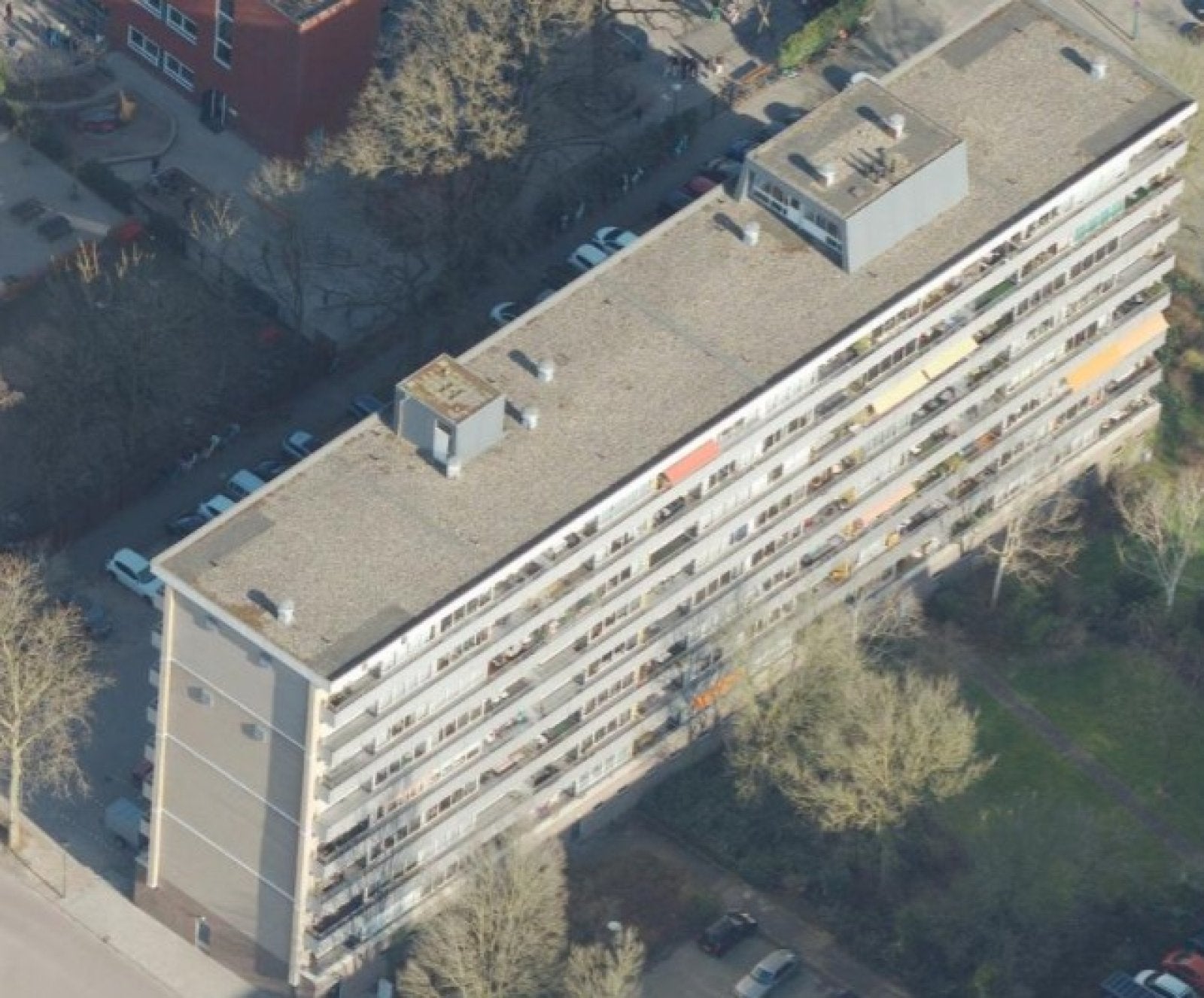 Spreeuwlaan