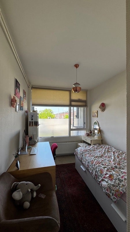 Appartement Goeman Borgesiusstraat 11
